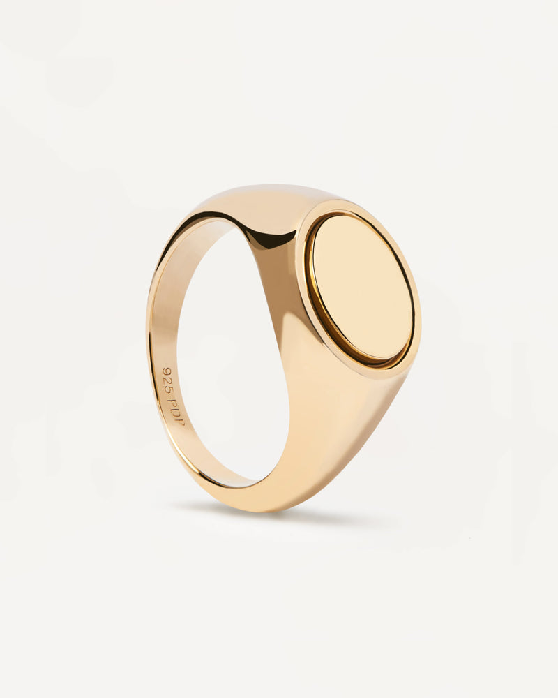 Siegel Ring - 
  
    Sterling Silber / 18K Goldplattierung
  
