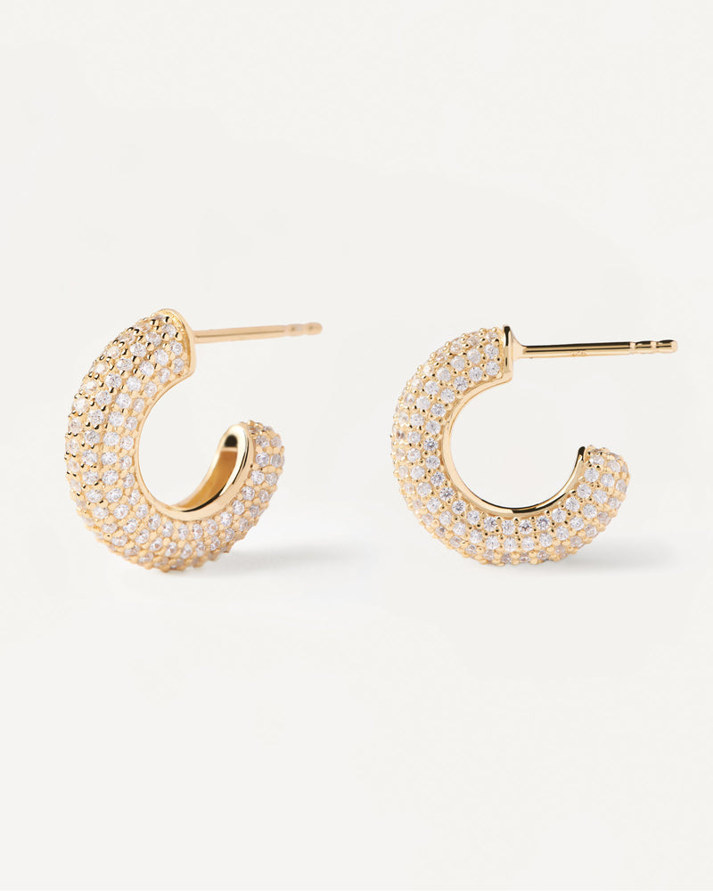 Orecchini King - 
  
    Argento sterling / Placcatura in Oro 18K
  
