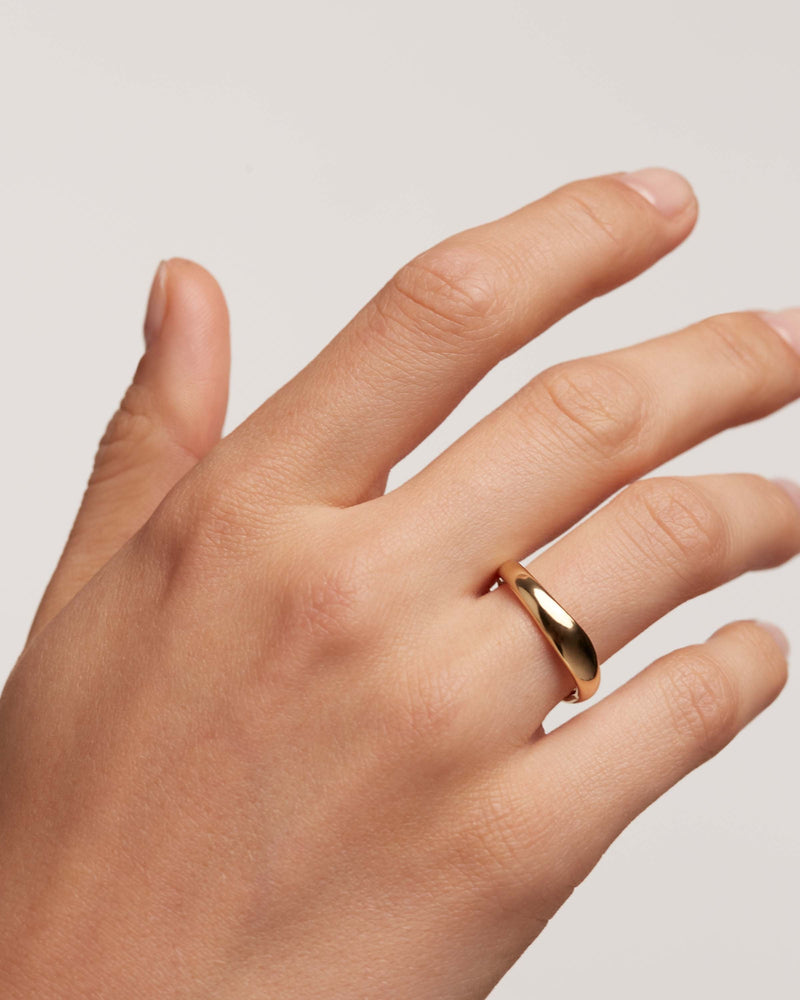 Pirouette Ring - 
  
    Sterling Silver / 18K Gold plating
  
