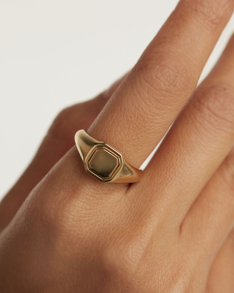 Octet Stamp Ring - 
  
    Sterling Silver / 18K Gold plating
  
