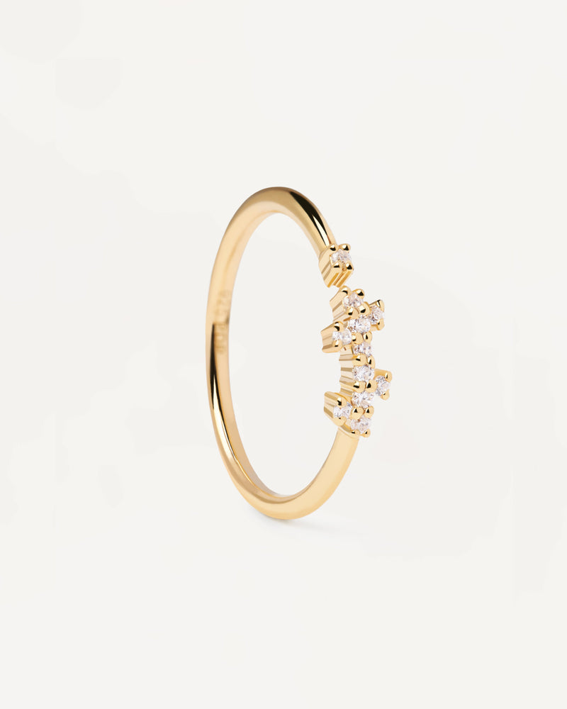 Anillo Prince - 
  
    Plata de Ley / Baño de Oro 18K
  
