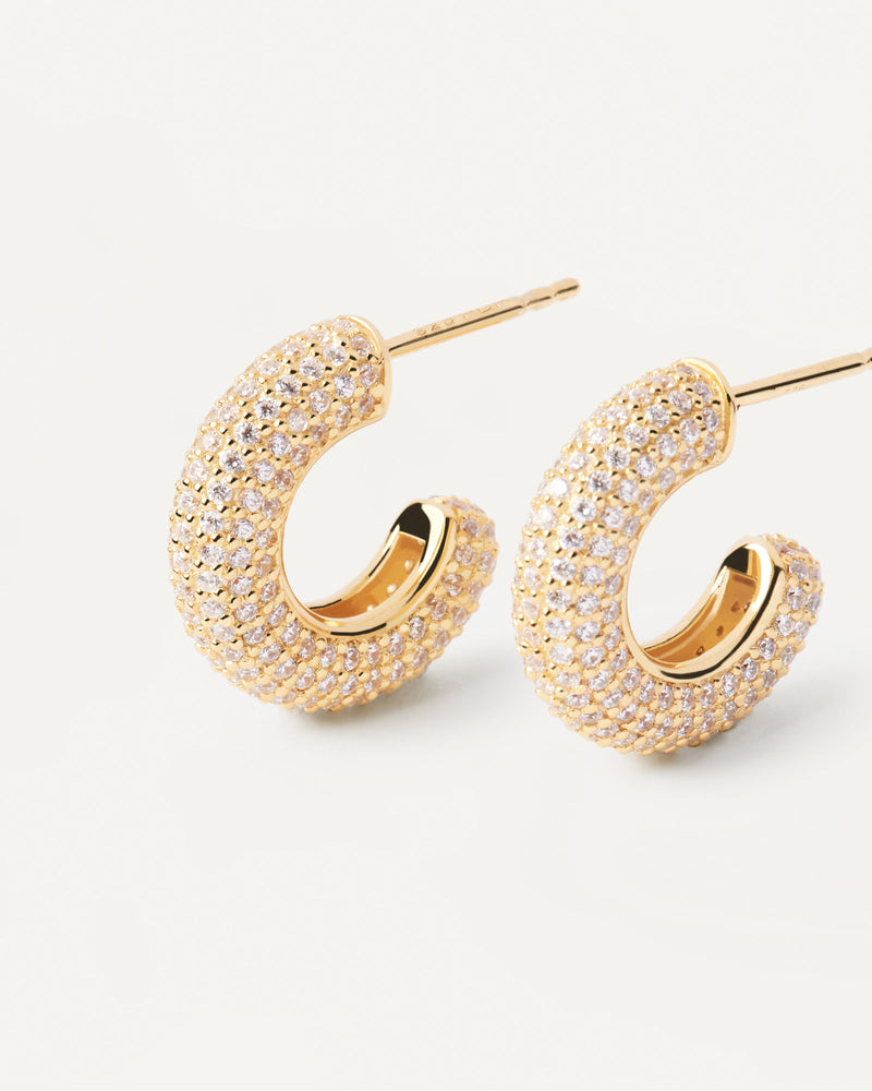 Orecchini King - 
  
    Argento sterling / Placcatura in Oro 18K
  
