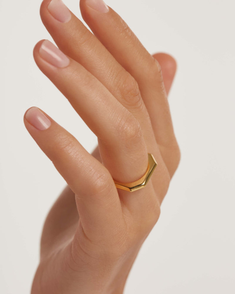 Signature Link Ring - 
  
    Brass / 18K Gold plating
  
