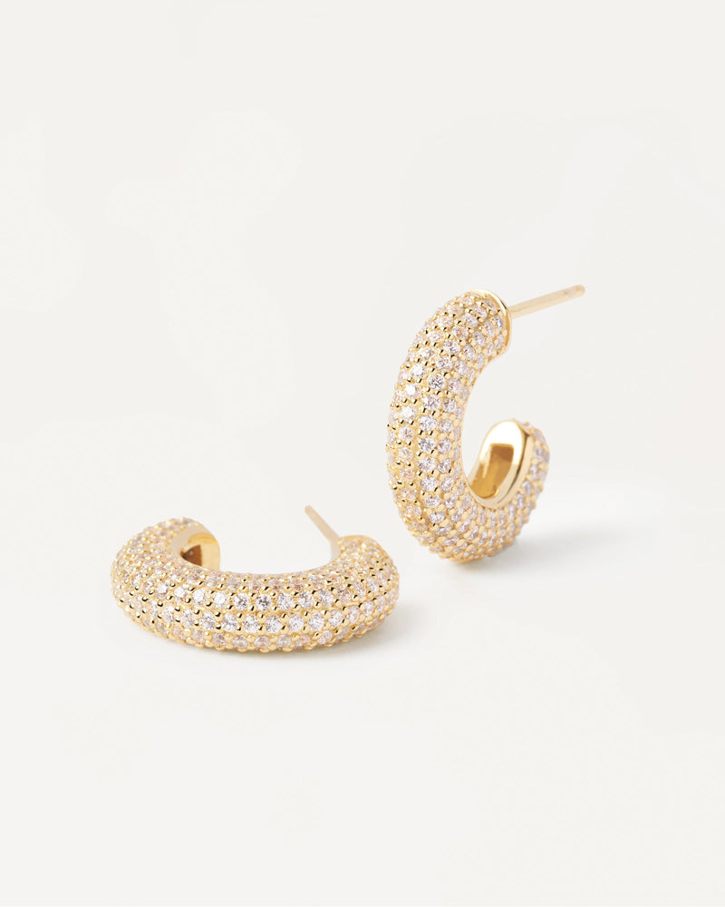 Orecchini King - 
  
    Argento sterling / Placcatura in Oro 18K
  
