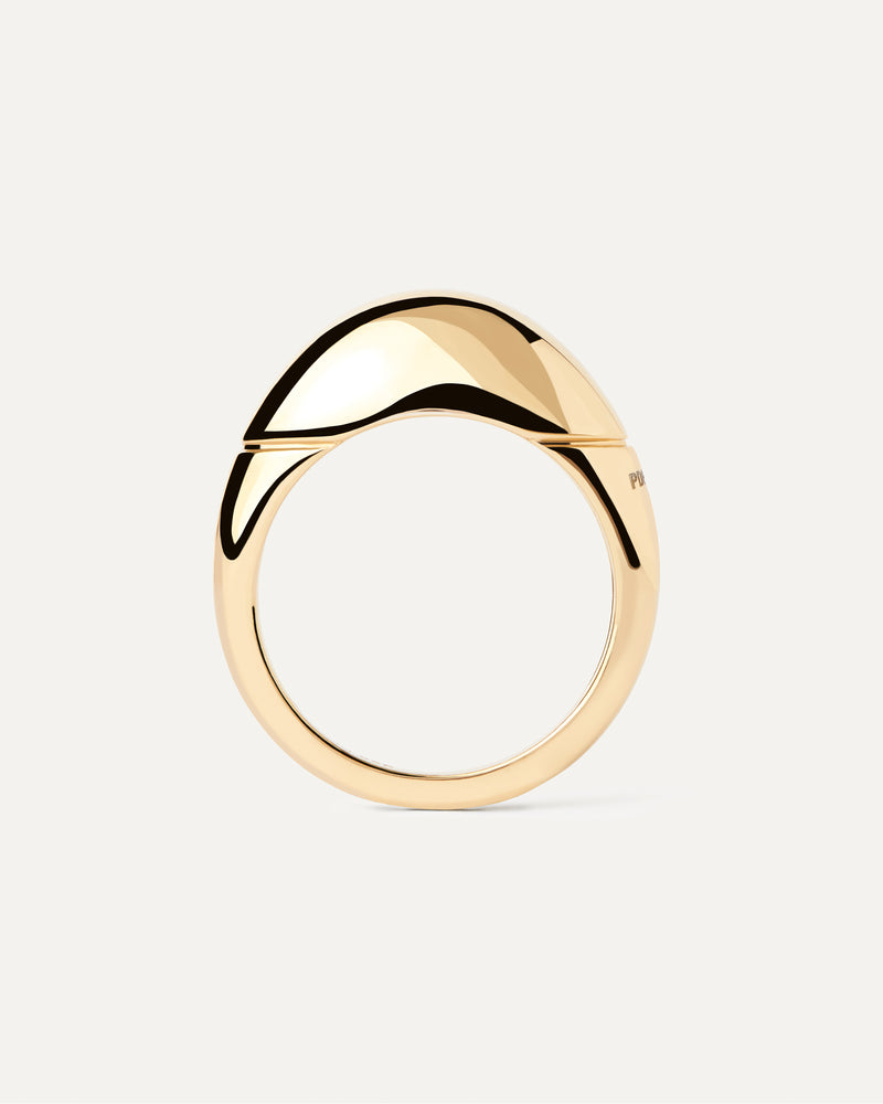 Anillo Bamboo - 
  
    Plata de Ley / Baño de Oro 18K
  
