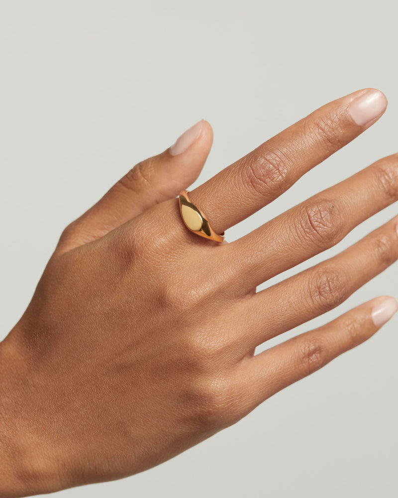 Devi Stamp Ring - 
  
    Sterling Silver / 18K Gold plating
  
