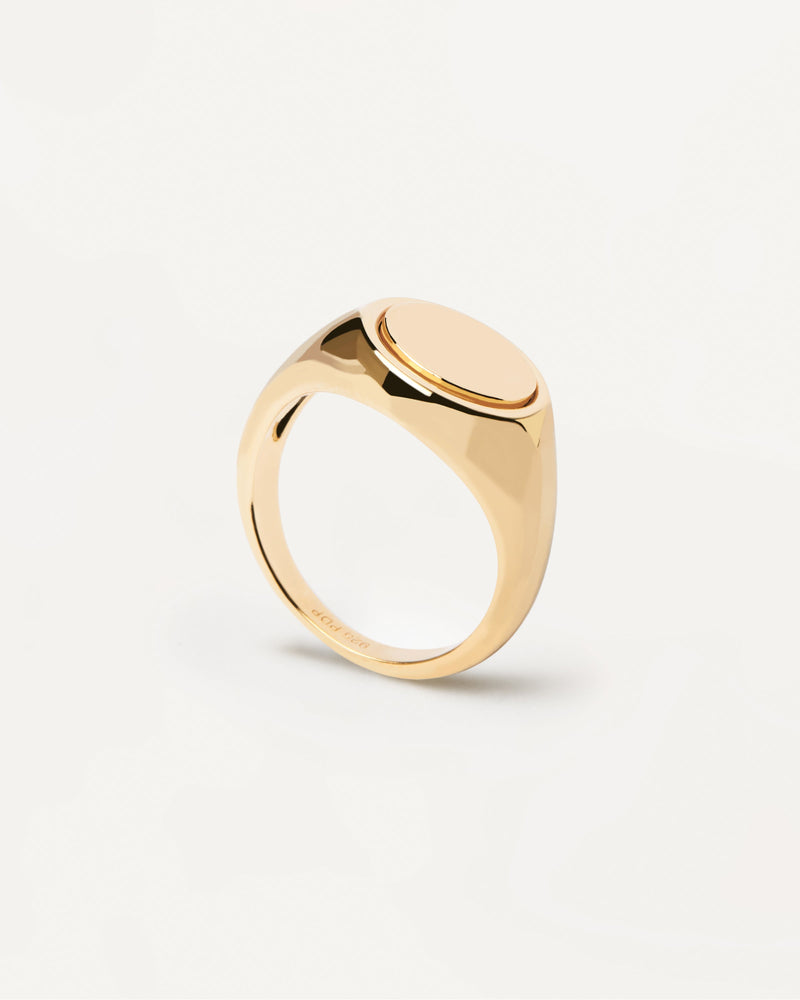 Siegel Ring - 
  
    Sterling Silber / 18K Goldplattierung
  
